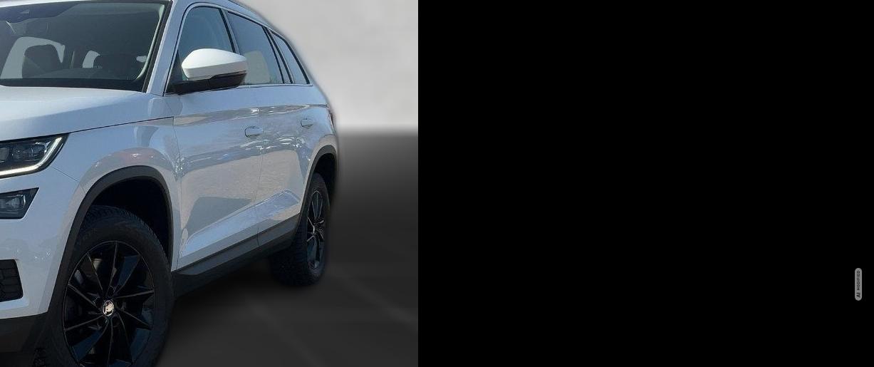 Skoda Kodiaq 2.0 TDI Style ACC,AHK,AUTOM.,LED,SHZ,PDC