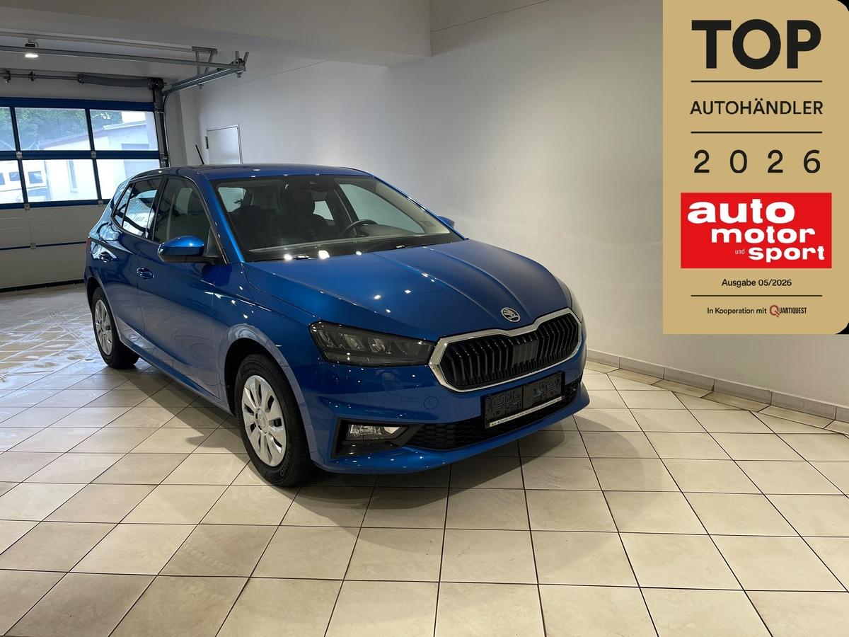 Skoda Fabia 1.0 TSI LED Klimaautomatik 5J Garantie
