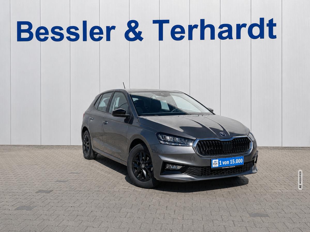 Skoda Fabia 1.0 TSI Selection*Kamera*SHZ*