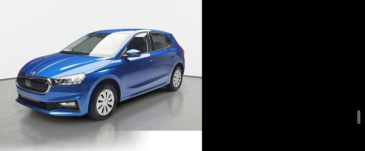 Skoda Fabia 1.0 TSI LED P-Assist PDC Kamera