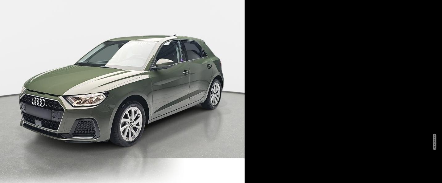 Audi A1 25 TFSI advanced Navi GRA PDC LM16