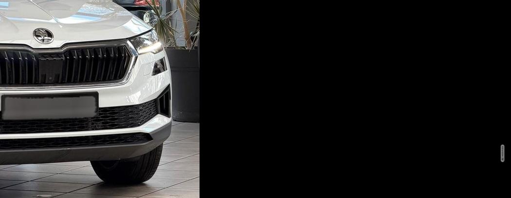 Skoda Karoq 2TDI Tour | 360°|ACC|AHK|KESSY|CARPlAY